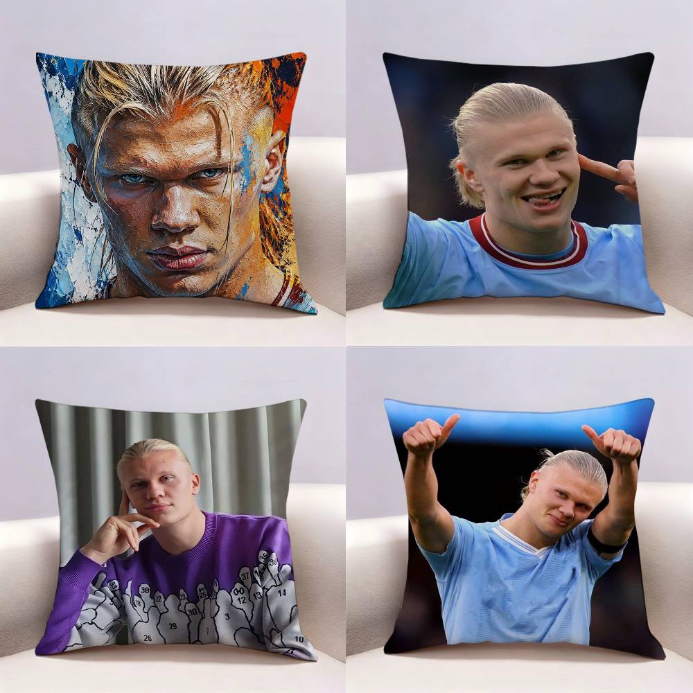 Sarung Bantal Cetak Dua Sisi E - Recliner Sofa Cover ulasan dan harga