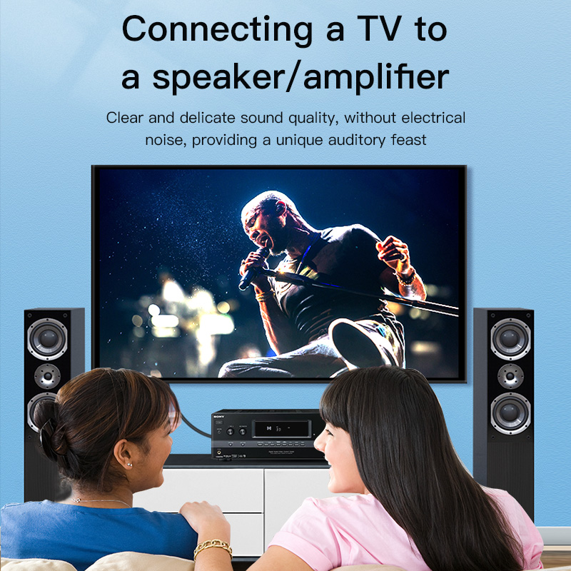 CHOSEAL Kabel RCA Kabel Audio  - Home Cinema Marantz ulasan dan harga